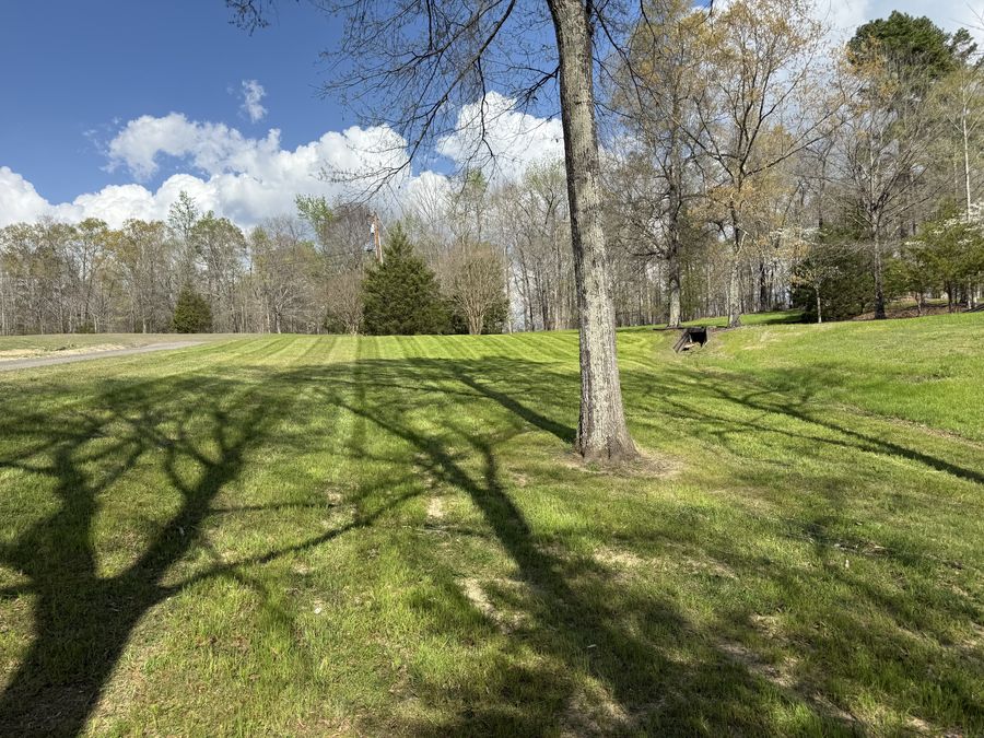 Lush green striped residential lawn cut by Alcazar Lawncare Services